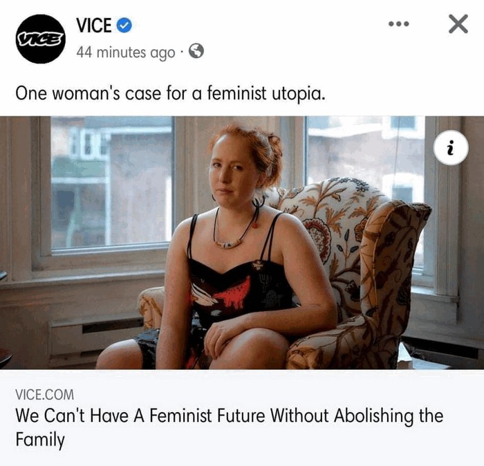 anti family feminism